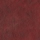 Sahara cherry